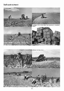419 USAAF 1942-1943 (27)